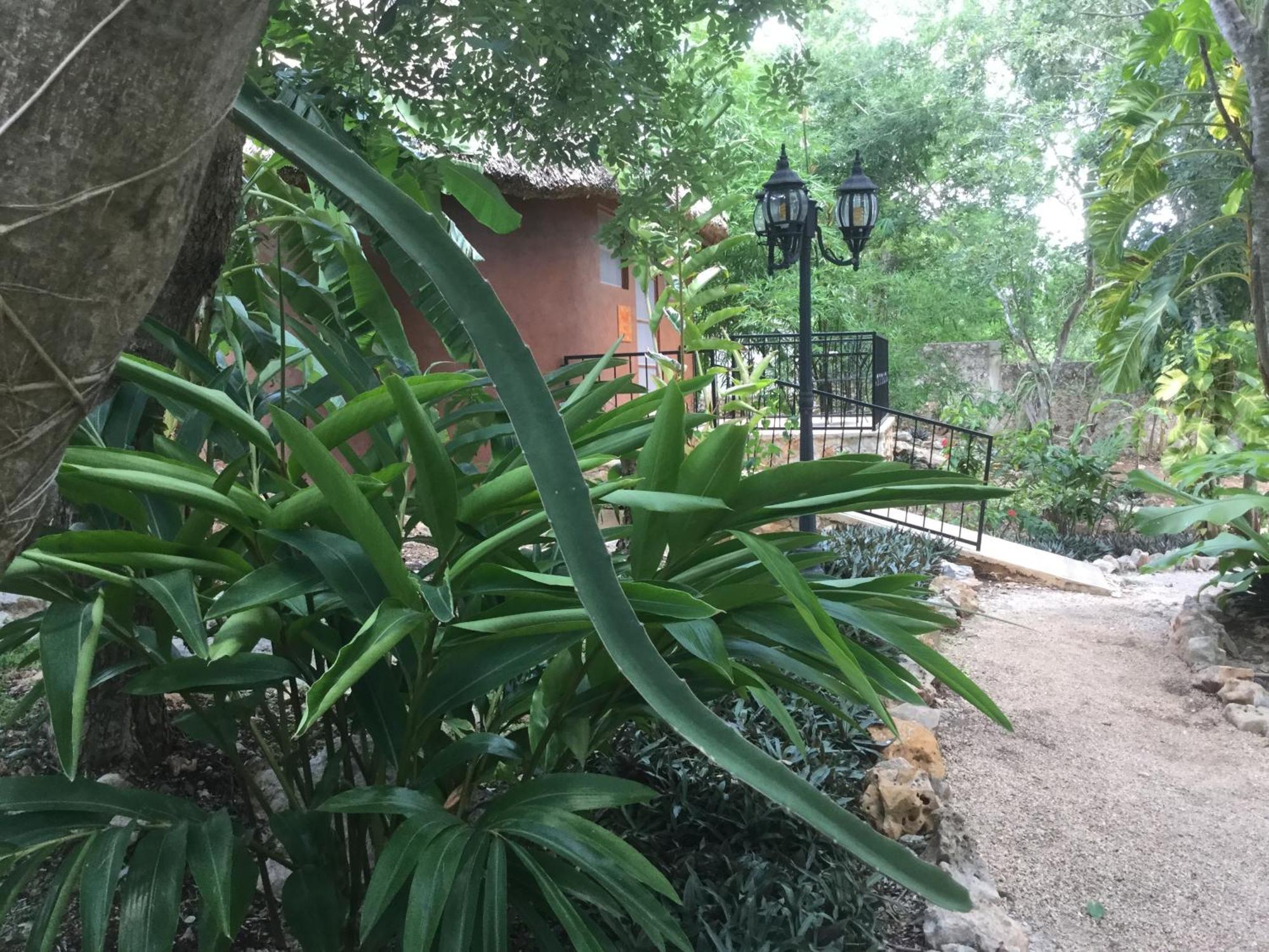 The Pickled Onion B&B And Restaurant Uxmal Santa Elena Room photo